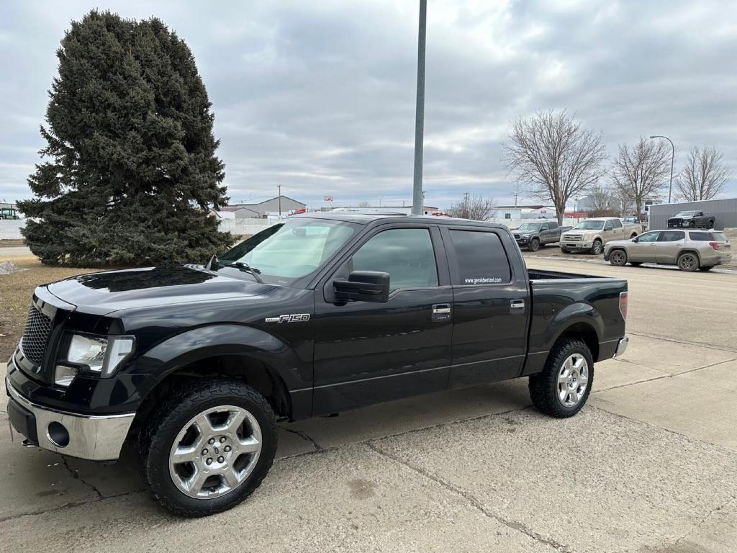 2013 BLACK FORD F150 SUPERCREW (1FTFW1EF9DF) with an 5.0L engine, Automatic transmission, located at 1030 S. 22nd St., Bismarck, ND, 58504, (701) 258-0022, 46.793560, -100.758118 - Photo#1