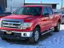 2013 RED FORD F150 SUPERCREW (1FTFW1ET2DK) with an 3.5L engine, Automatic transmission, located at 1030 S. 22nd St., Bismarck, ND, 58504, (701) 258-0022, 46.793560, -100.758118 - Photo#0